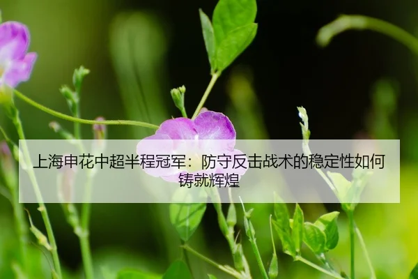 shang-hai-shen-hua-zhong-chao-ban-cheng-guan-jun-fang-shou-fan-ji-zhan-shu-de-wen-ding-xing-ru-he-zhu-jiu-hui-huang-3-318.jpg