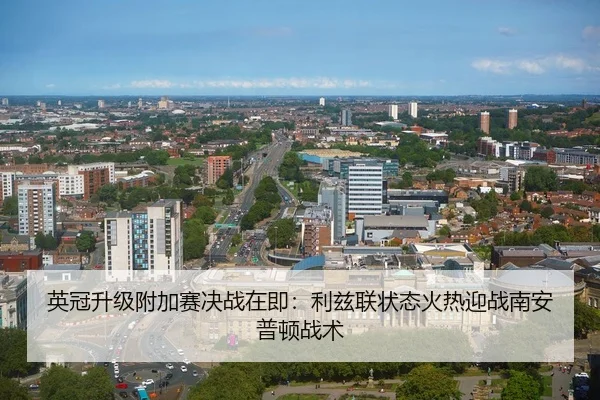 英冠升级附加赛决战在即：利兹联状态火热迎战南安普顿战术